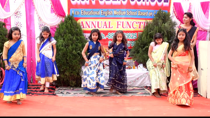 Annual function
